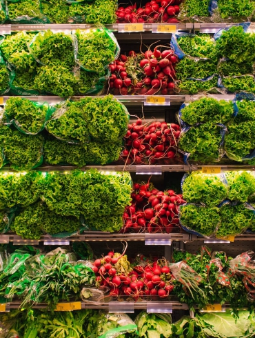 Thiết kế lắp đặt kho lạnh bảo quản nông sản