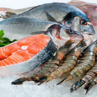 Thiết kế lắp đặt kho lạnh bảo quản hải sản