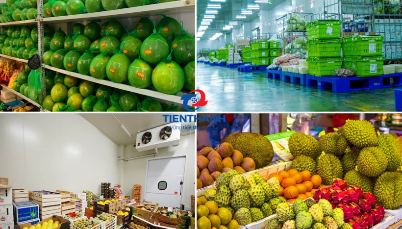 Lợi ích của việc lắp đặt kho lạnh bảo quản nông sản