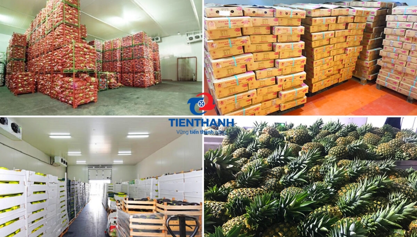 Kích thước và dung tích kho lạnh bảo quản nông sản cần thiết là bao nhiêu?