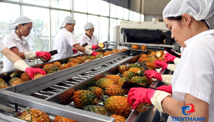 Kho lạnh giúp bảo quản nông sản như thế nào?