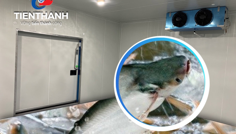 Lựa chọn kích thước kho lạnh phù hợp cho nhu cầu lưu trữ hải sản