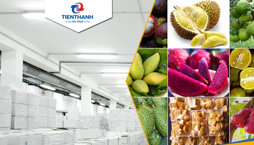 Kho lạnh nông sản có cần có hệ thống giám sát và điều khiển tự động không?